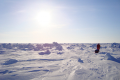 Polar-Pictures-Assorted-706_LRM