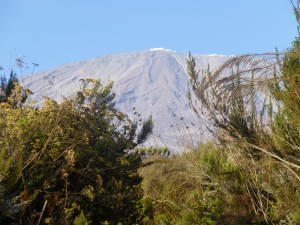 Kilimanjaro